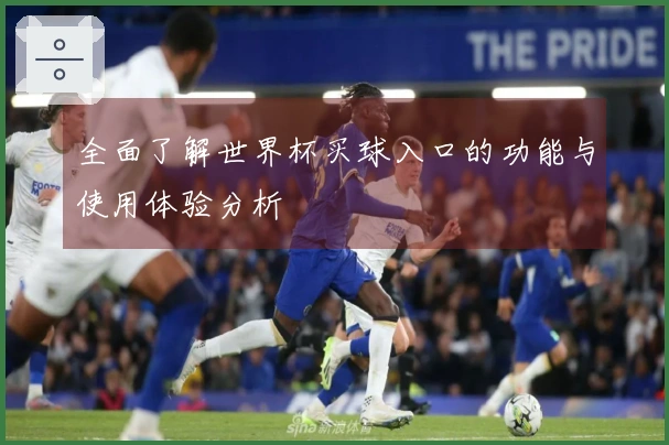 全面了解世界杯买球入口的功能与使用体验分析