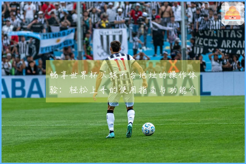 畅享世界杯买球平台地址的操作体验：轻松上手的使用指南与功能介绍