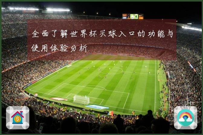 全面了解世界杯买球入口的功能与使用体验分析
