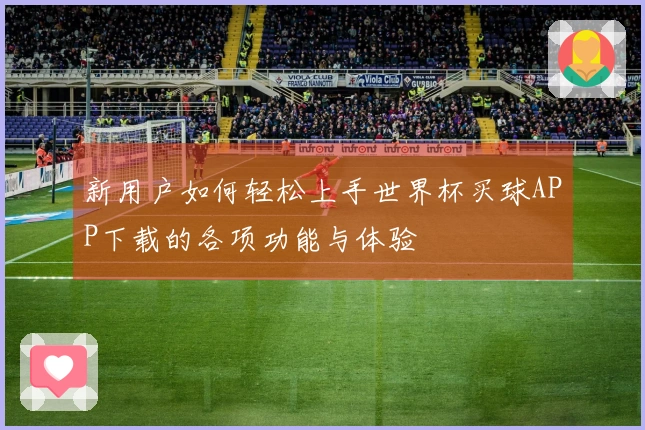 新用户如何轻松上手世界杯买球APP下载的各项功能与体验