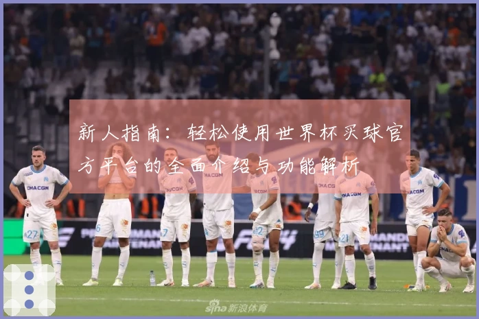 新人指南：轻松使用世界杯买球官方平台的全面介绍与功能解析