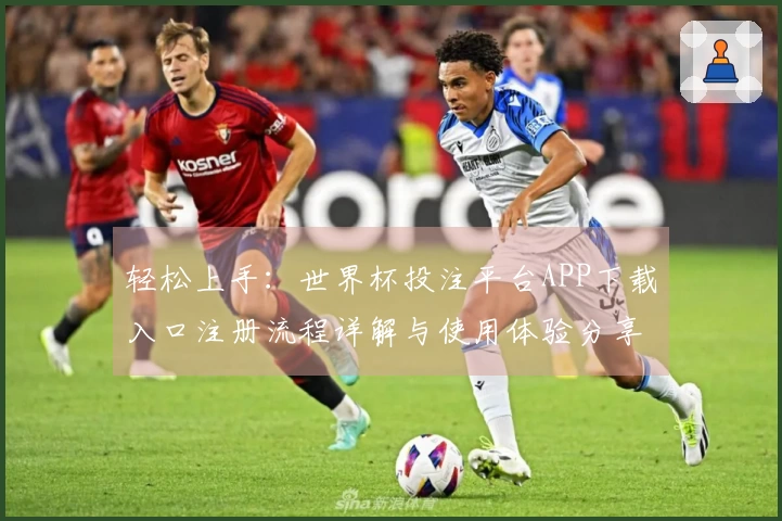 轻松上手：世界杯投注平台APP下载入口注册流程详解与使用体验分享