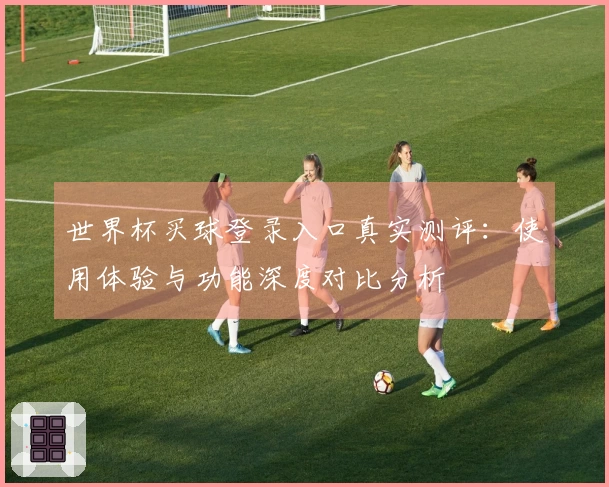 世界杯买球登录入口真实测评：使用体验与功能深度对比分析