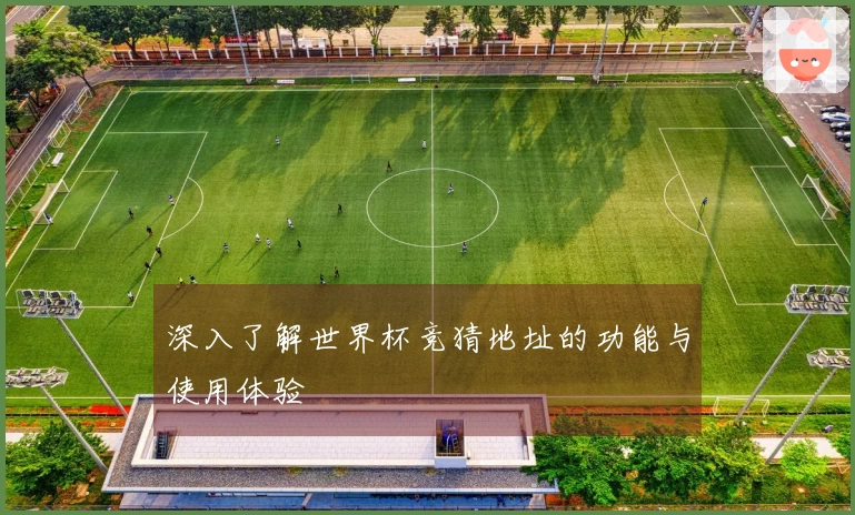 深入了解世界杯竞猜地址的功能与使用体验