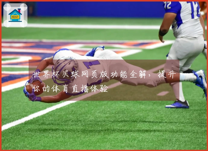世界杯买球网页版功能全解，提升你的体育直播体验