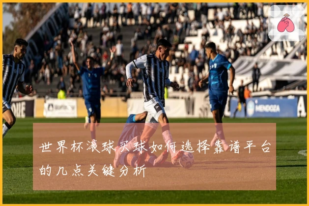 世界杯滚球买球如何选择靠谱平台的几点关键分析