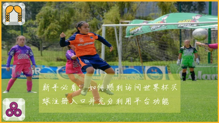 新手必看：如何顺利访问世界杯买球注册入口并充分利用平台功能