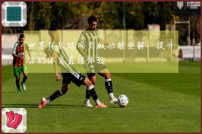 世界杯买球网页版功能全解，提升你的体育直播体验