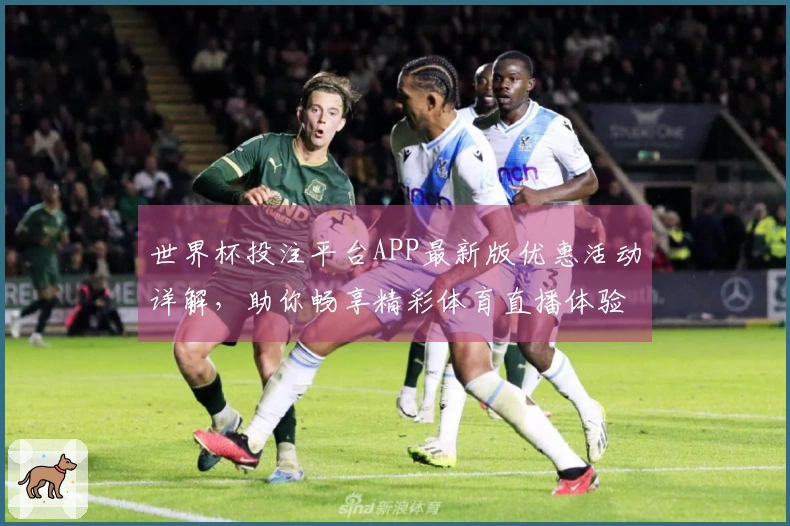 世界杯投注平台APP最新版优惠活动详解,助你畅享精彩体育直播体验